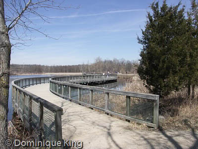 Spring on Wild Wing Kensington Metropark MI